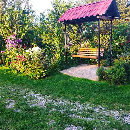 Shelter Pid Lypamy Mykulychyn
