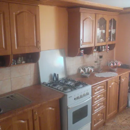 Shelter Pid Lypamy * Mykulychyn