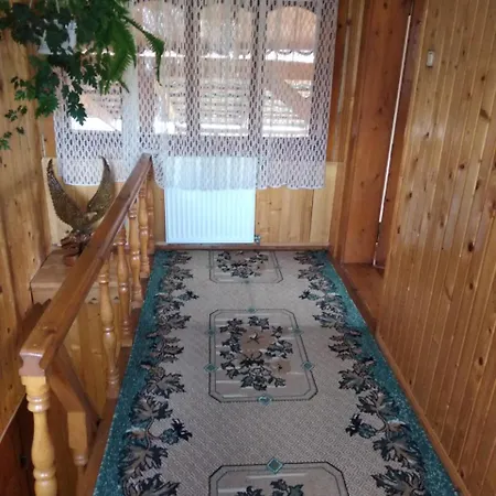 Shelter Pid Lypamy * Mykulychyn